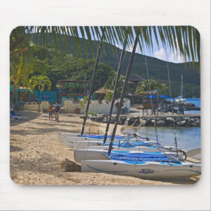 Tapis De Souris Plage au Leverick Bay Resort & Marina,