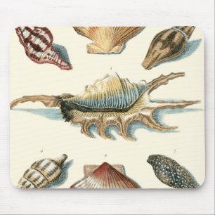 Tapis De Souris Plage de Shell soignée