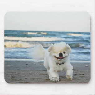 Tapis De Souris Plage Pete's Pad