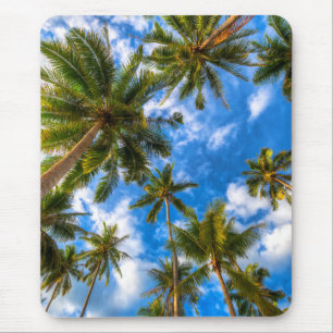 Tapis De Souris Plages tropicales   Palmiers sur le ciel bleu