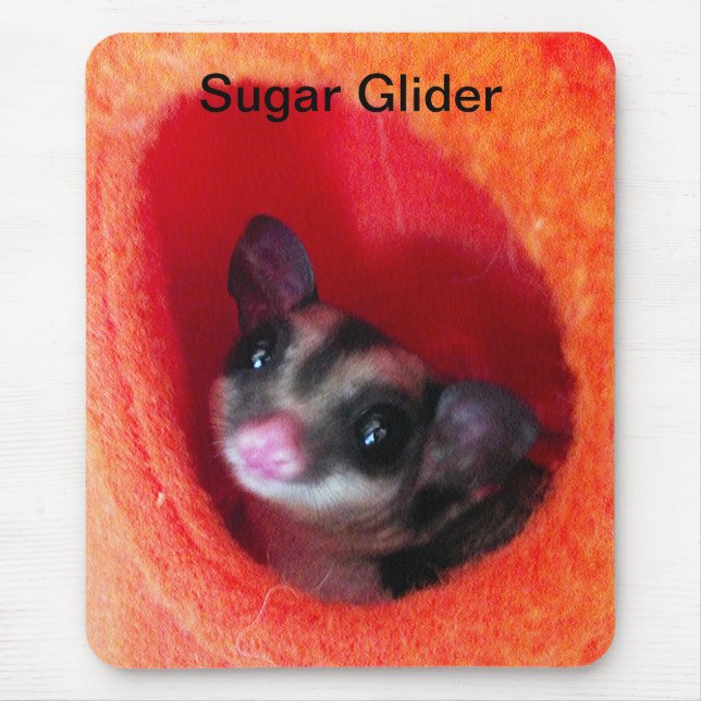 Tapis De Souris Planeur à sucre en Orange Hanging Lit (Devant)