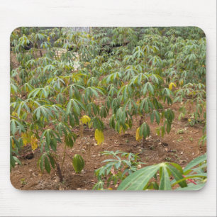 Tapis De Souris Plantation de Cassava