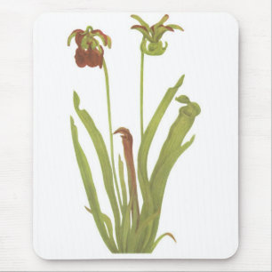 Tapis De Souris Plante carnivore - rubra de Sarracenia