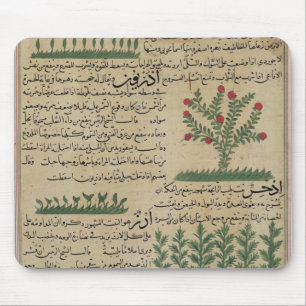 Tapis De Souris Plantes botaniques, illustration de '