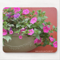 Planteur rose de pétunias
