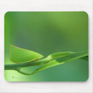 Tapis De Souris PlantWalker