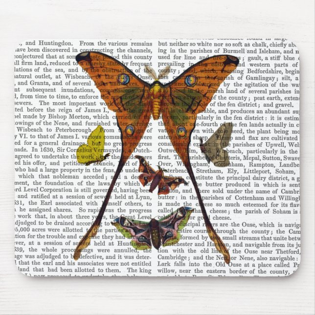 Tapis De Souris Plaque 2 (Devant)