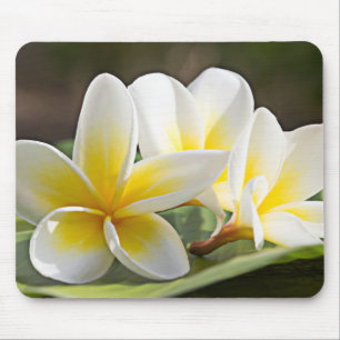 Tapis De Souris Plaque de souris à fleurs tropicales