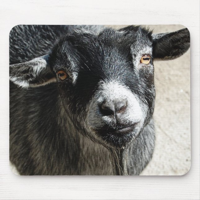 Tapis De Souris Plaque de souris de chèvre (Devant)