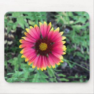 Tapis De Souris Plaque de souris Gerbera Daisy