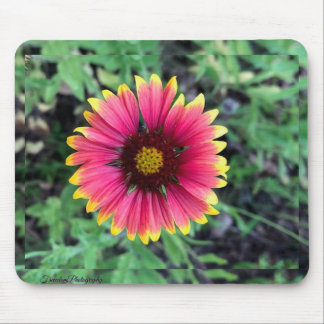 Tapis De Souris Plaque de souris Gerbera Daisy