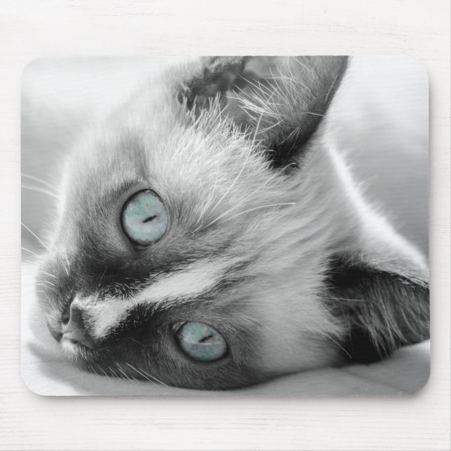 Tapis De Souris Plaque souris Kitten bleu (Devant)