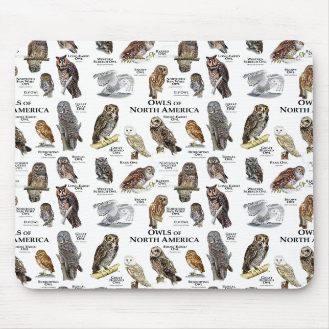 Tapis De Souris Plaque-souris "OWL'S of North America" (Devant)