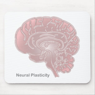 Tapis De Souris Plasticité neuronale
