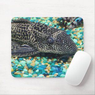 Tapis De Souris Plecostomus Sur Gravure