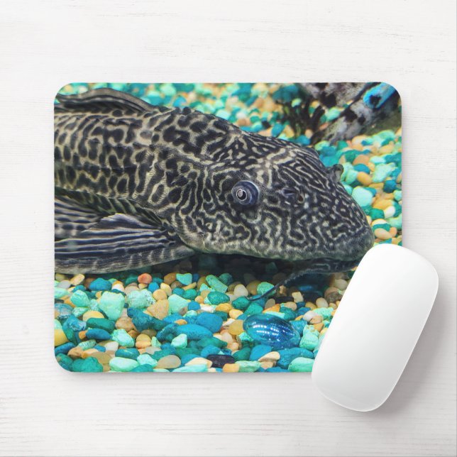 Tapis De Souris Plecostomus Sur Gravure (Avec souris)