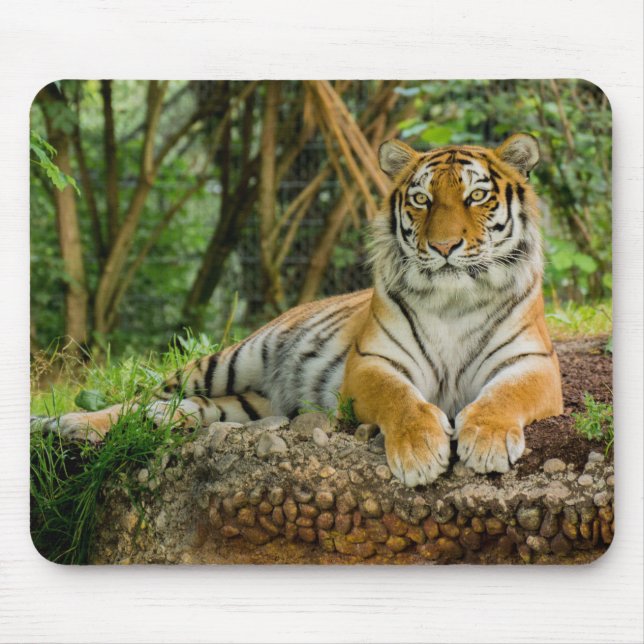 Tapis De Souris Plein corps Mousepad de tigre (Devant)