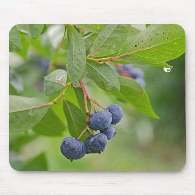 Tapis De Souris Pluie de bleuets (Devant)