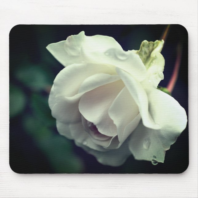 Tapis De Souris Pluie de fleurs de rose blanche (Devant)
