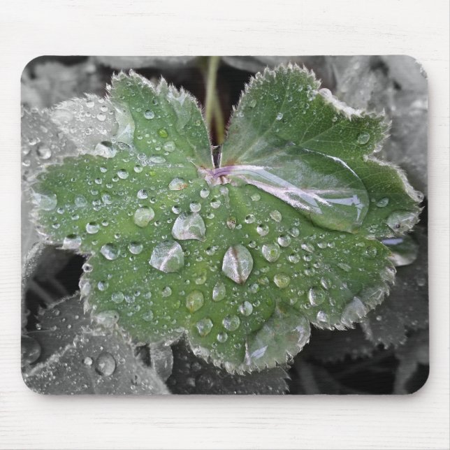 Tapis De Souris pluie lourde (Devant)