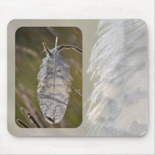 Tapis De Souris Plume