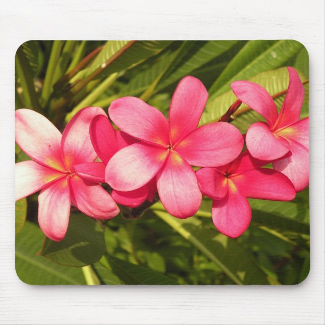 Tapis De Souris plumeria (Devant)