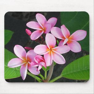 Tapis De Souris Plumeria au club de yacht de fin amère de Gorda de