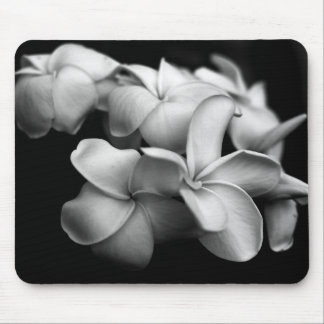 Tapis De Souris Plumerias