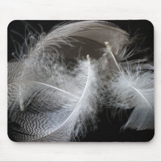 Tapis De Souris Plumes