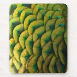 Tapis De Souris Plumes de paon II Nature colorée