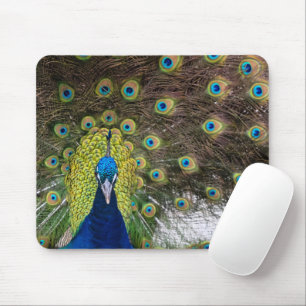 Tapis De Souris Plumes de paquetage