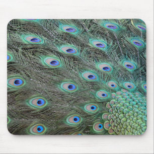 Tapis De Souris Plumes de queue de paon