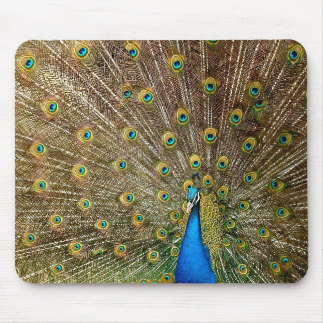 Tapis De Souris Plumes de queue de paon (Devant)