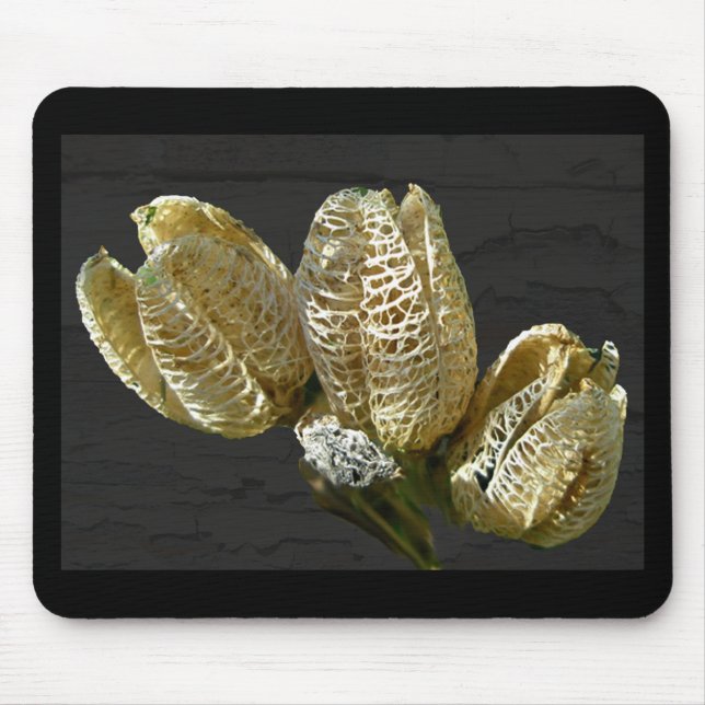 Tapis De Souris Pods de graines de Lily séchés (Devant)