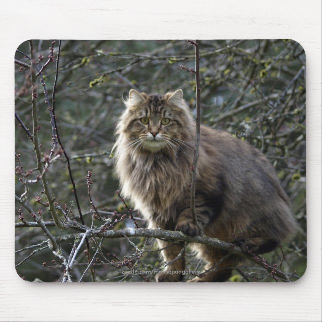 Tapis De Souris Poil long Tabby Chat Mousepad (Devant)
