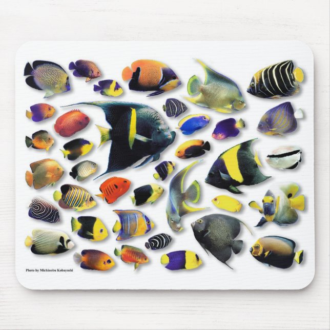 Tapis De Souris Poisson-ange marin (Devant)