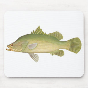 Tapis De Souris Poisson - Barramundi - Calcarifer tardif