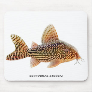 Tapis De Souris Poisson-chat Mousepad de Corydoras Sterbai