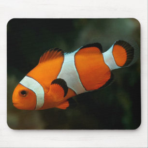 Tapis De Souris Poisson clown