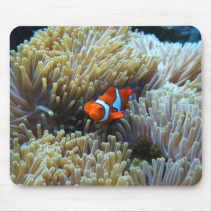 Tapis De Souris Poisson clown dans un récif corallien