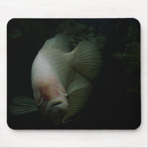 Tapis De Souris Poisson dans un réservoir