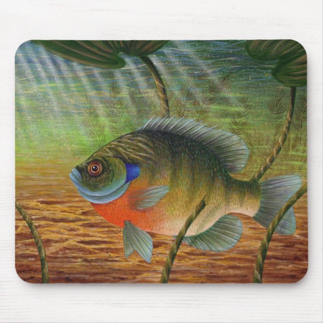 Tapis De Souris Poisson de soleil (Devant)
