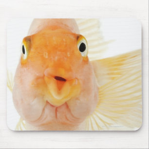 Tapis De Souris Poisson d'eau douce tropical
