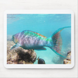 Tapis De Souris Poisson perroquet Hawaii