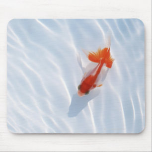 Tapis De Souris Poisson rouge 5