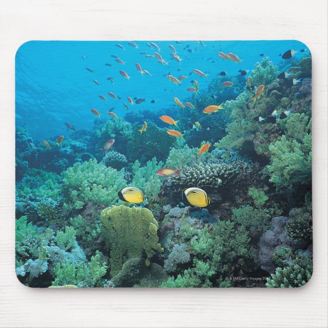 Tapis De Souris Poisson tropical nageant sur le récif (Devant)