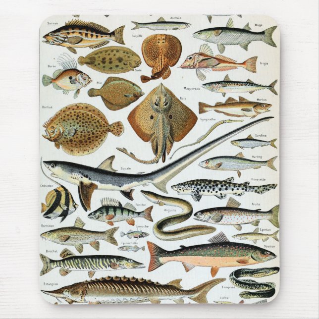 Tapis De Souris Poisson vintage du monde (Devant)
