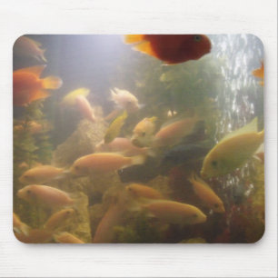 Tapis De Souris Poissons dans un aquarium Mousepad