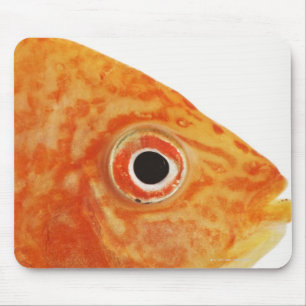 Tapis De Souris Poissons rouges de diacre