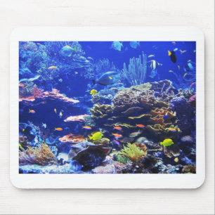Tapis De Souris Poissons tropicaux